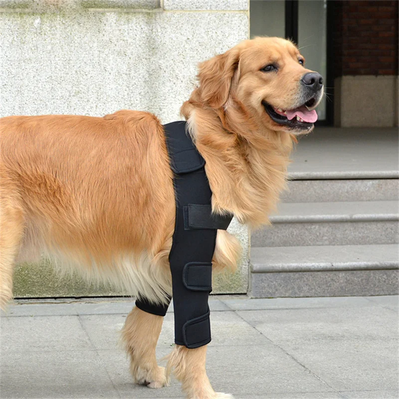 Anti-Lick Dog Elbow Brace Protector Soft Breathable Pain Relief  Shoulder Support Elbow Sleeves Pad for Canine Elbow Pet