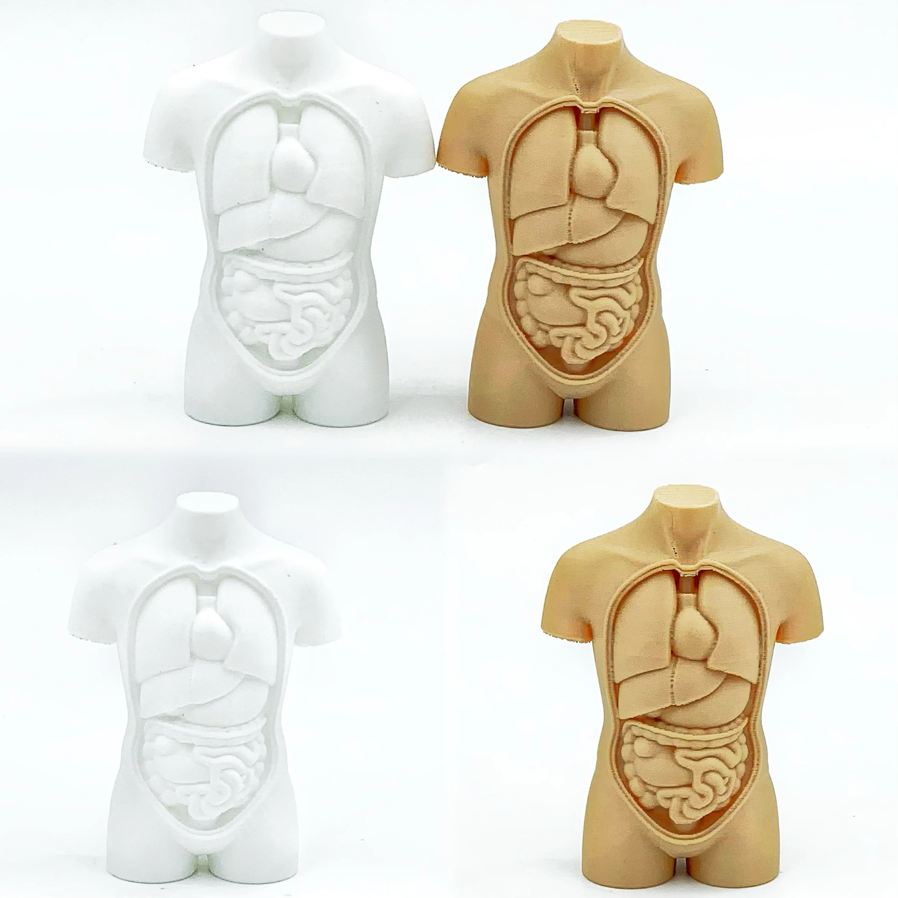 

3D printing simulation of human torso anatomical structure sculpture with high aesthetic value,suitable for holiday gifts spider