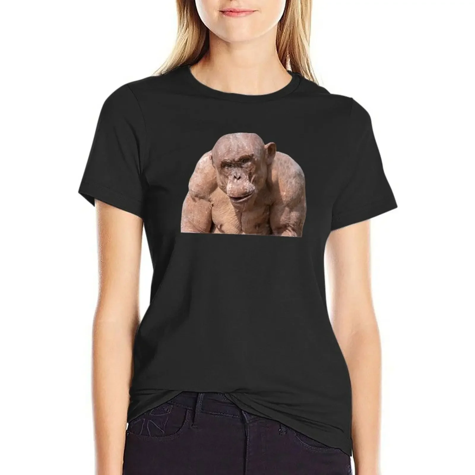 Jambo The Hairless Male Chimp (Transparent Background) T-Shirt summer top Female clothing plus size tops funny t shirt for Women