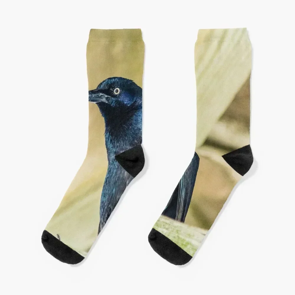 

Boat-tailed Grackle Socks luxury Run winter thermal Men's Mens Socks Women's tennis snow gym Socks Women's Men's