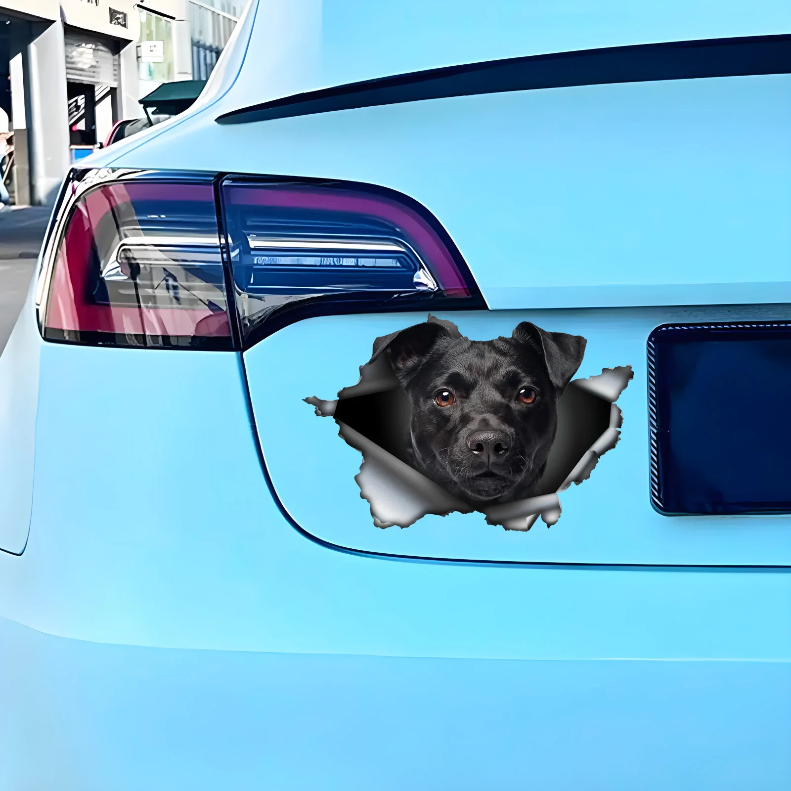 DK388# Patterdale Terrier Car Bumper Window Stickers For Car Truck Van Fashion Decals Vinyl Material Stickers