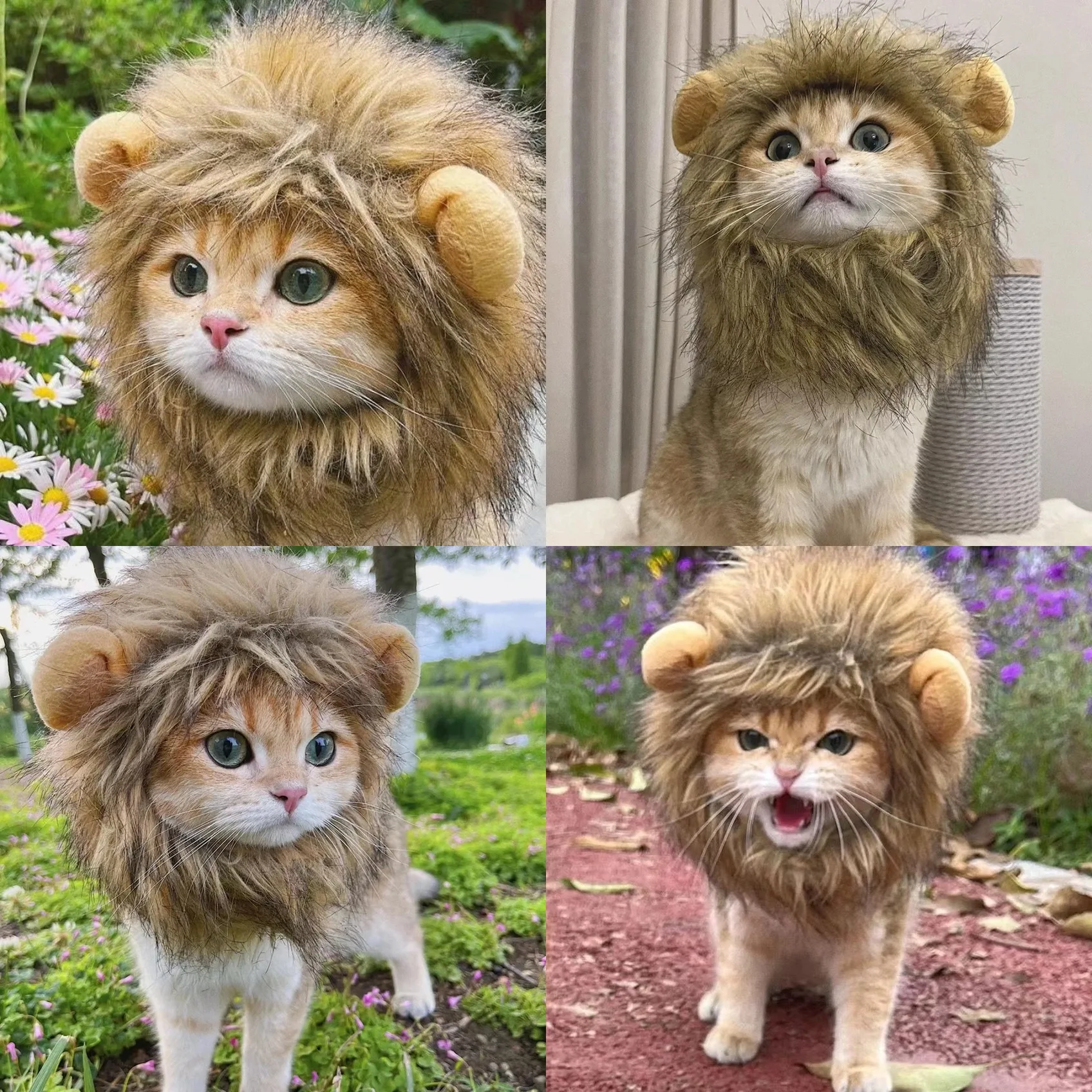 New Cute Funny Pets Clothes Cap Cute Cat Wig Lion Mane Costume Cosplay Kitten Dog Hat with Ears Fancy Party Supplies