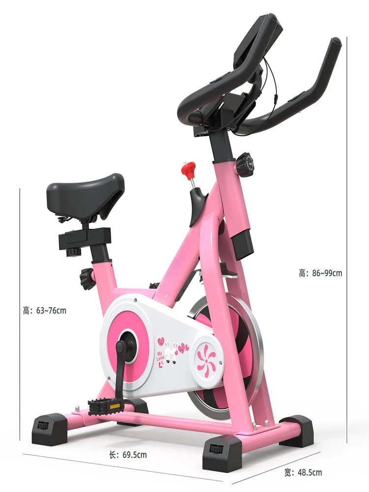 Exercise Bike Spinning Children's Day Gift Birthday Gift Indoor Fitness Equipment Rehabilitation Exercise Magnetic Control