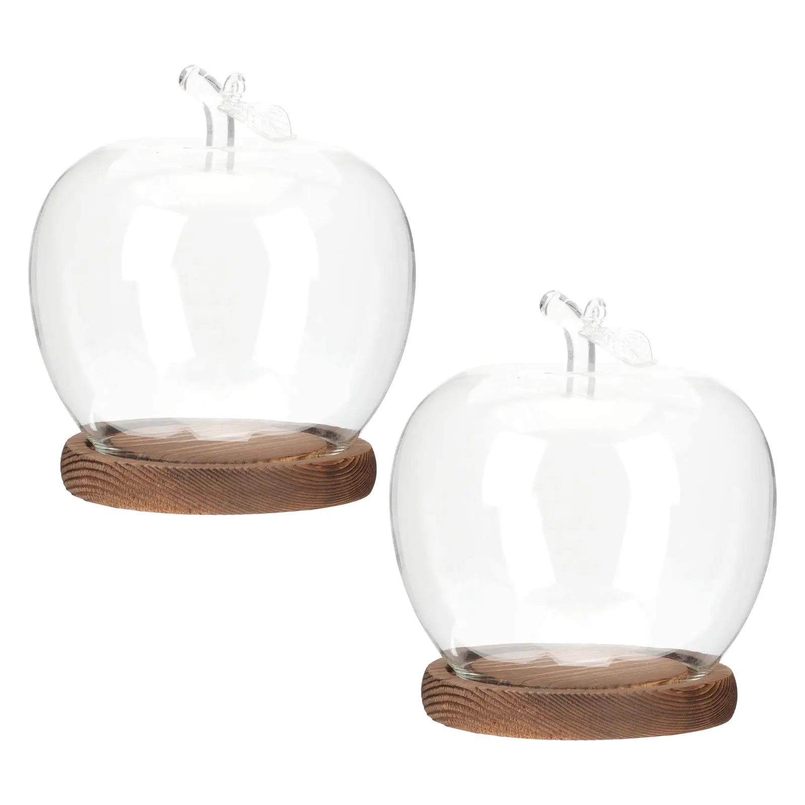 2Pcs Glass Cloche Dome with Wood Base Clear Display Cover for Collectibles Plants Flowers Crafts Shape Glass Showcase