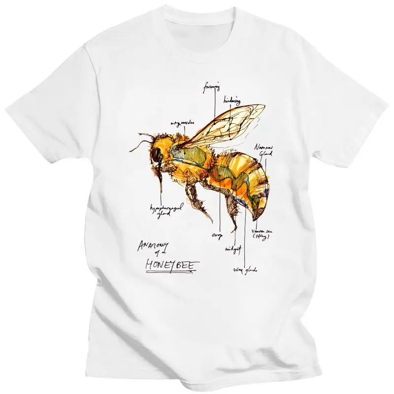 New 2021 Harajuku Anatomy Of Bee Funny Print T-Shirt Summer Fashion Men T-Shirt  Funny Honey Design Man Tops High Quality Casual