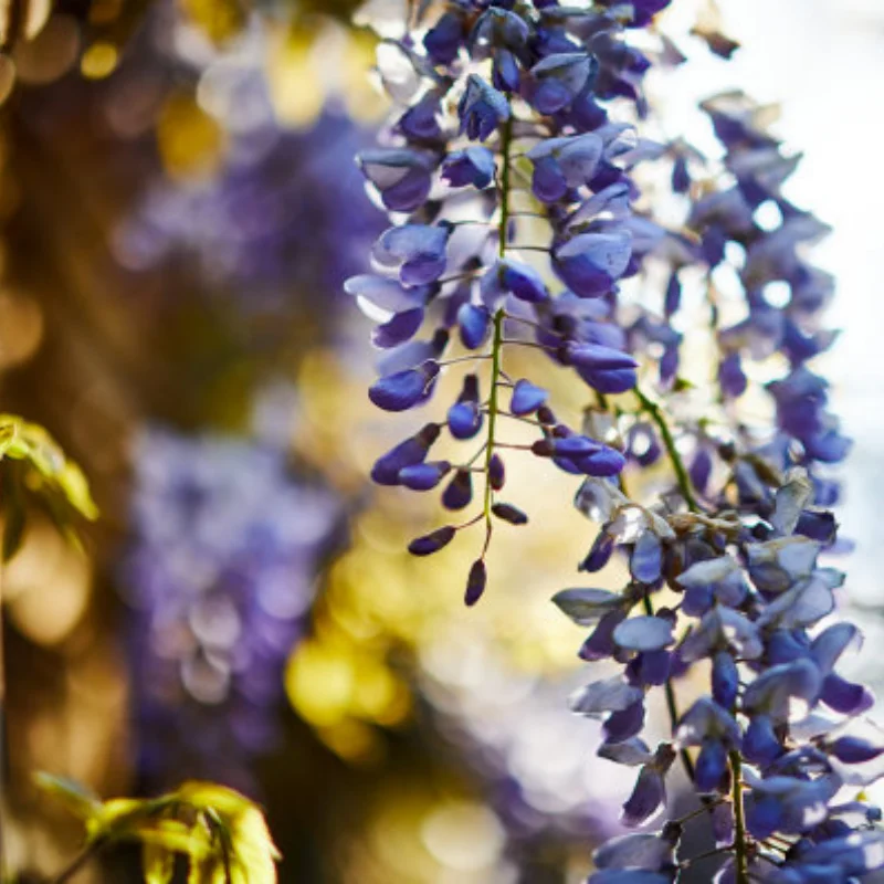 

Стальной центральный дифференциал 50T 52T 0,8M 32P подходит для Trxs Slash 4x4 Stampede Rustler 1/10, обновленные детали