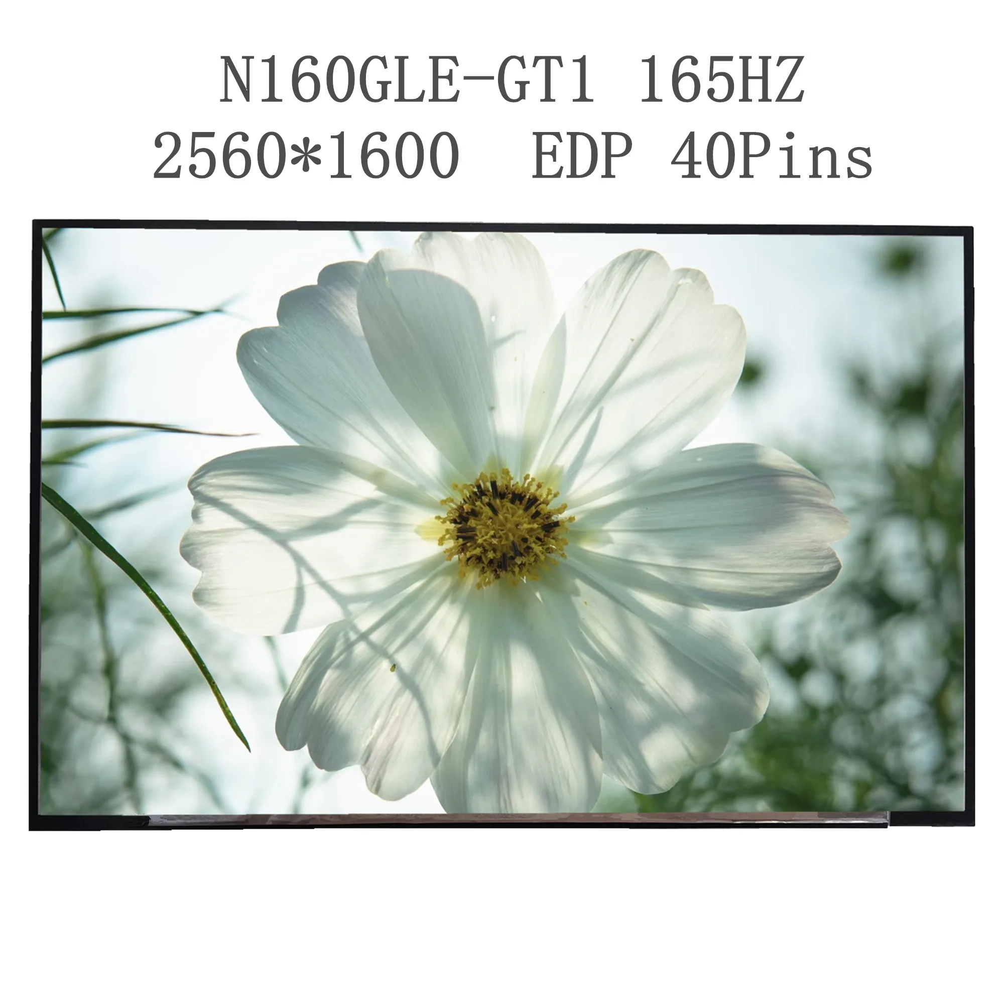 

16.0'' 165Hz N160GLE-GT1 Laptop LCD Screen Display Panel Matrix Replacement 2560×1600 EDP 40 Pins