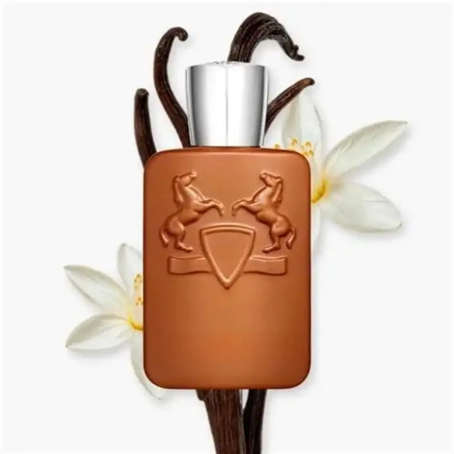 125ml Brown Bottle Fragrance for Men Rich Woody Scent Male Perfume Eau De Parfum Spray view 4