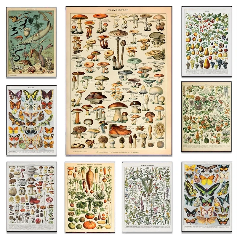 Vintage Adolphe Millot Encyclopedia Botanical Mushrooms Herbs Flowers Insect Poster Canvas Painting Wall Pictrues Home Decor