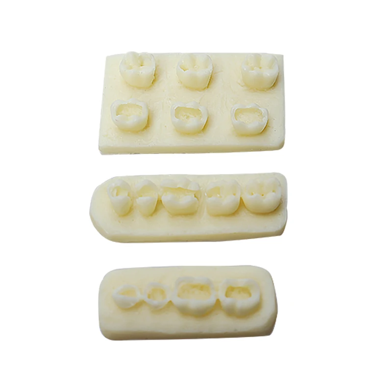 Dental Practice, Resin Block Practice, Filling of Dental Implants, Resin Module Examination, Practice Model