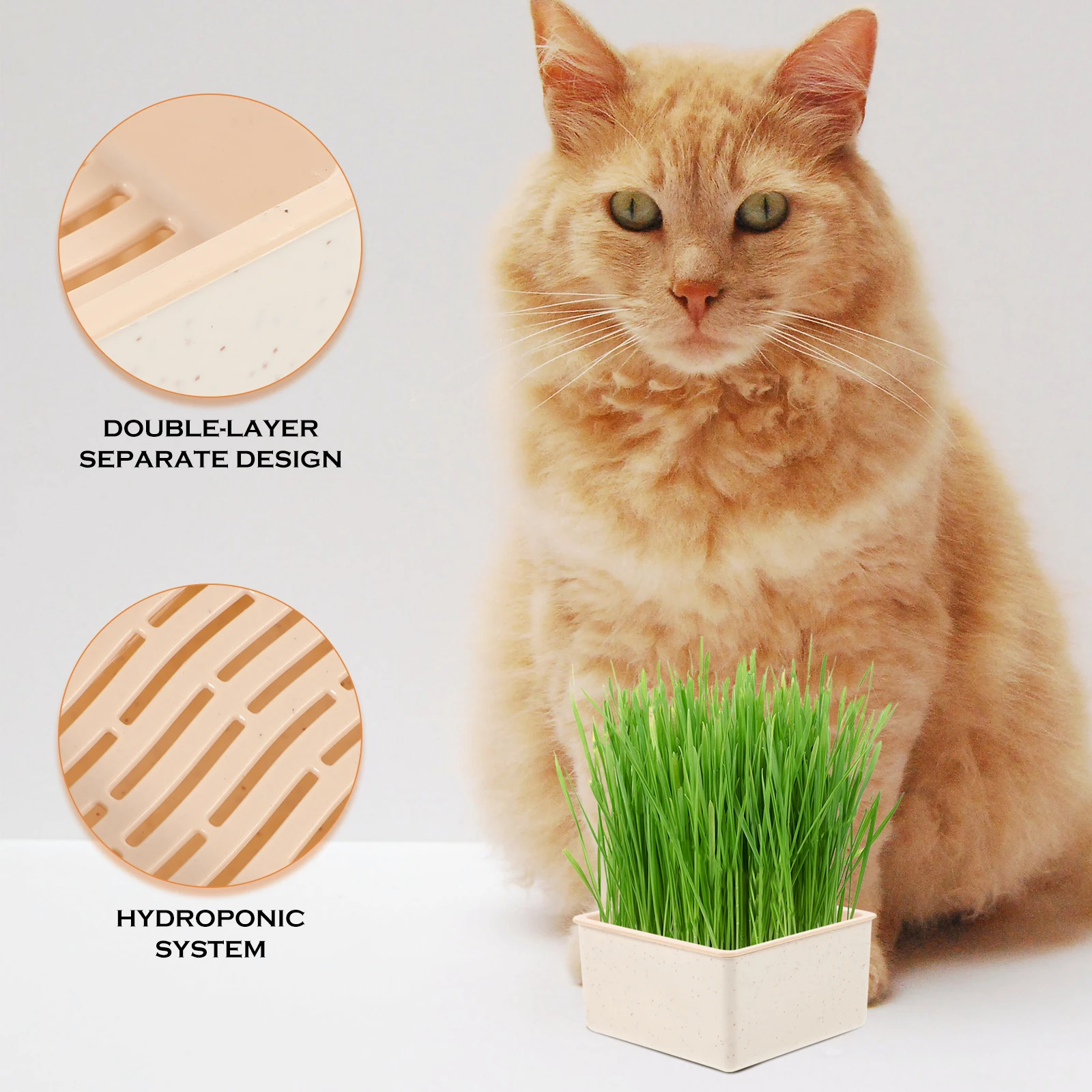 

Cat Grass Planter Soilless Hydroponic Box White Color Easy Use Practical Pot Lightweight Plastic Promotes Growth Saves Effort