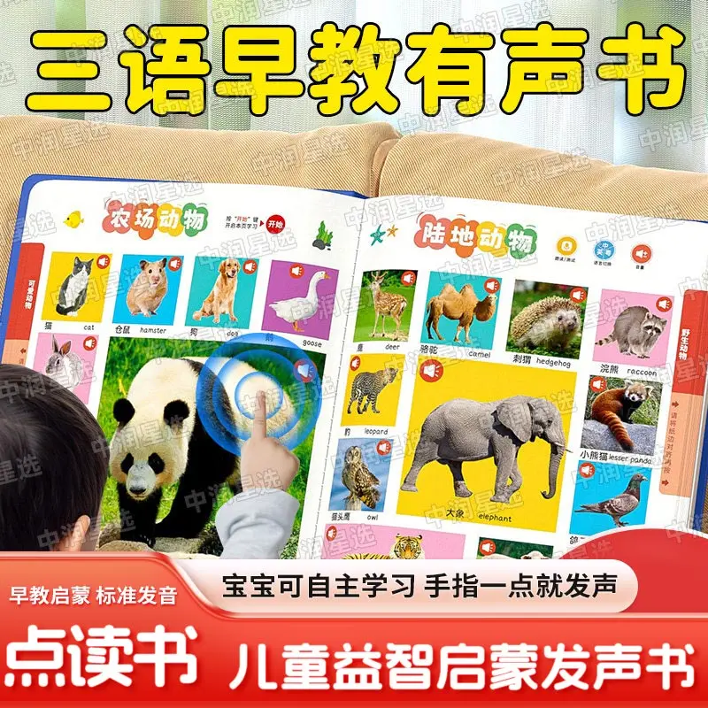

Concentration Training, Audiobooks, Cognitive, Pinyin, Language & Literacy Enlightenment in Early Childhood Education