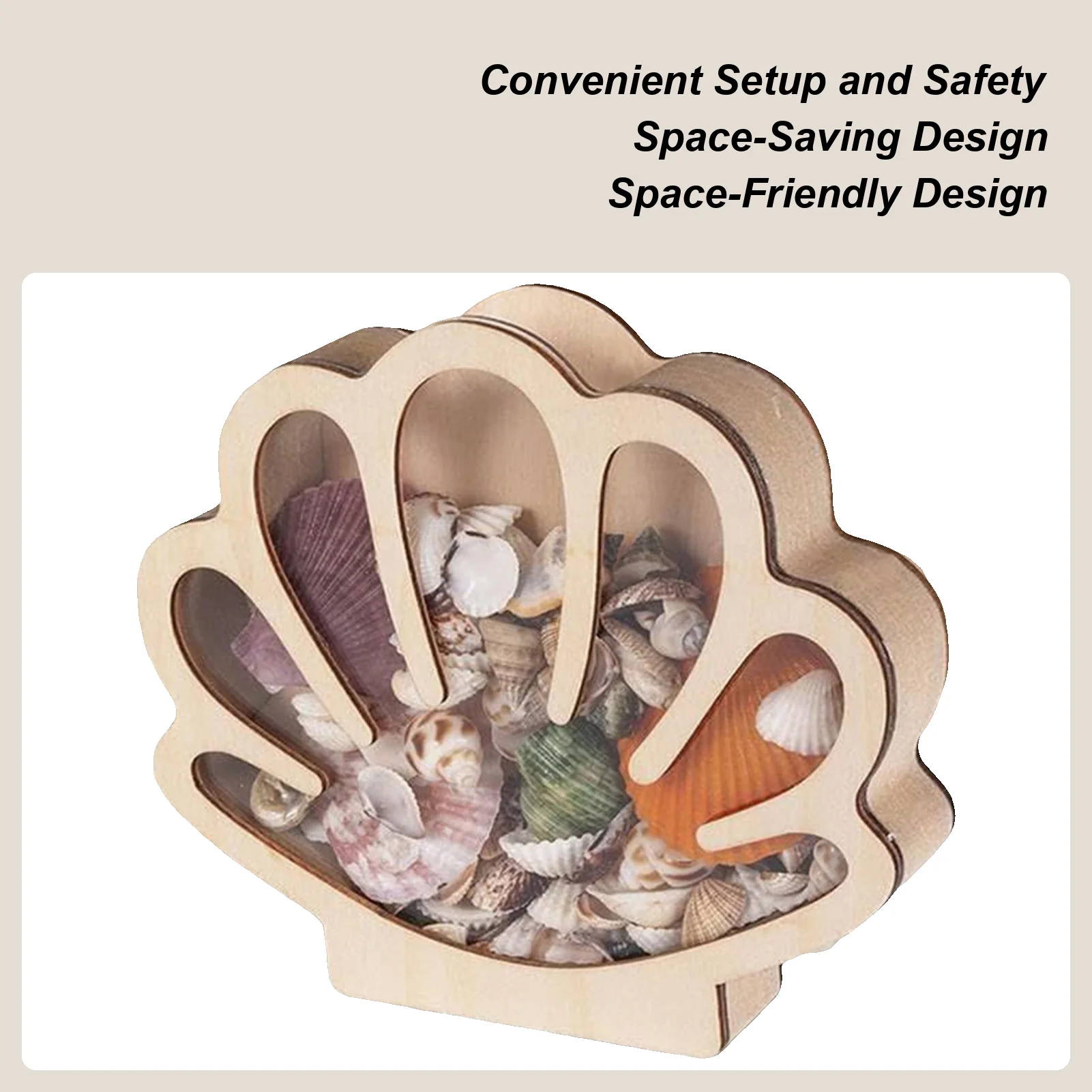 

Shell Display Box Wooden Seashell Holder Case Table Centerpiece Elegant Small Starfish Jewelry Organizer For Study Bedroom