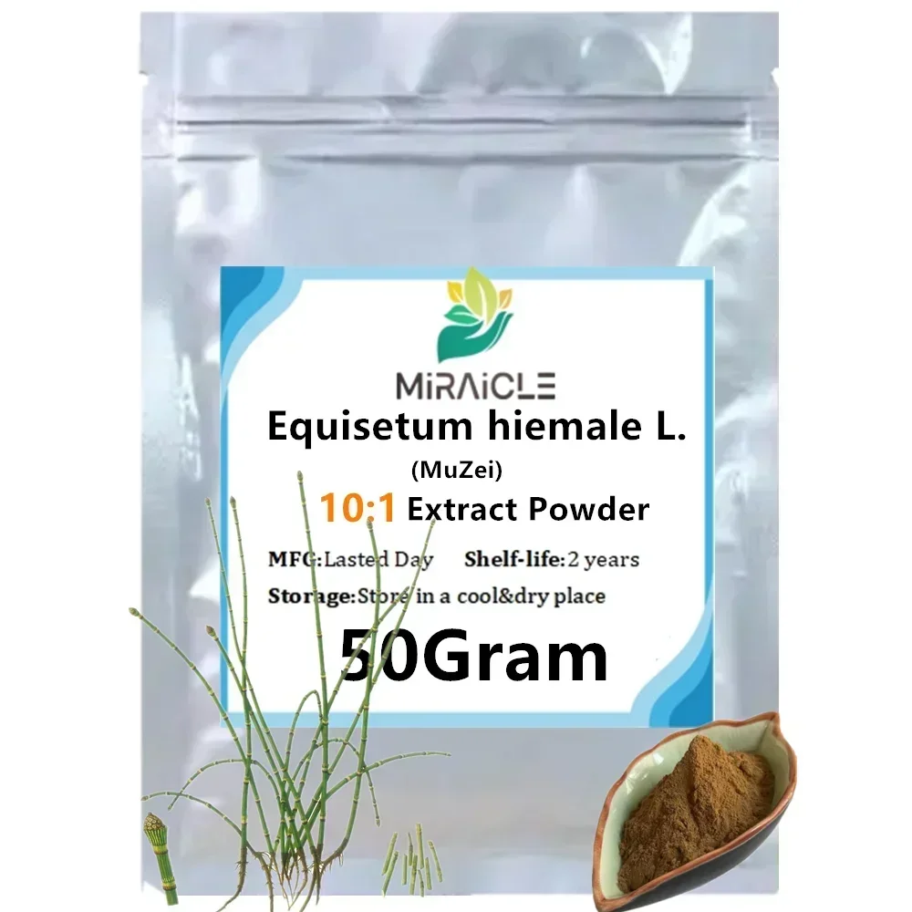 50-1000g,Extrait de voleur de bois/Equisətum hiemalə L.  Extract