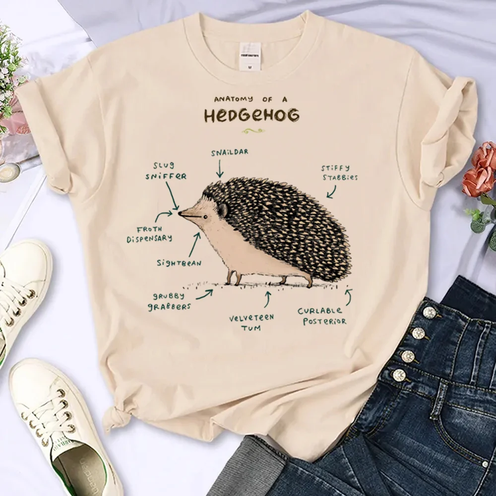 Hedgehog tshirt women summer comic t shirt female graphic Japanese 2000s clothing