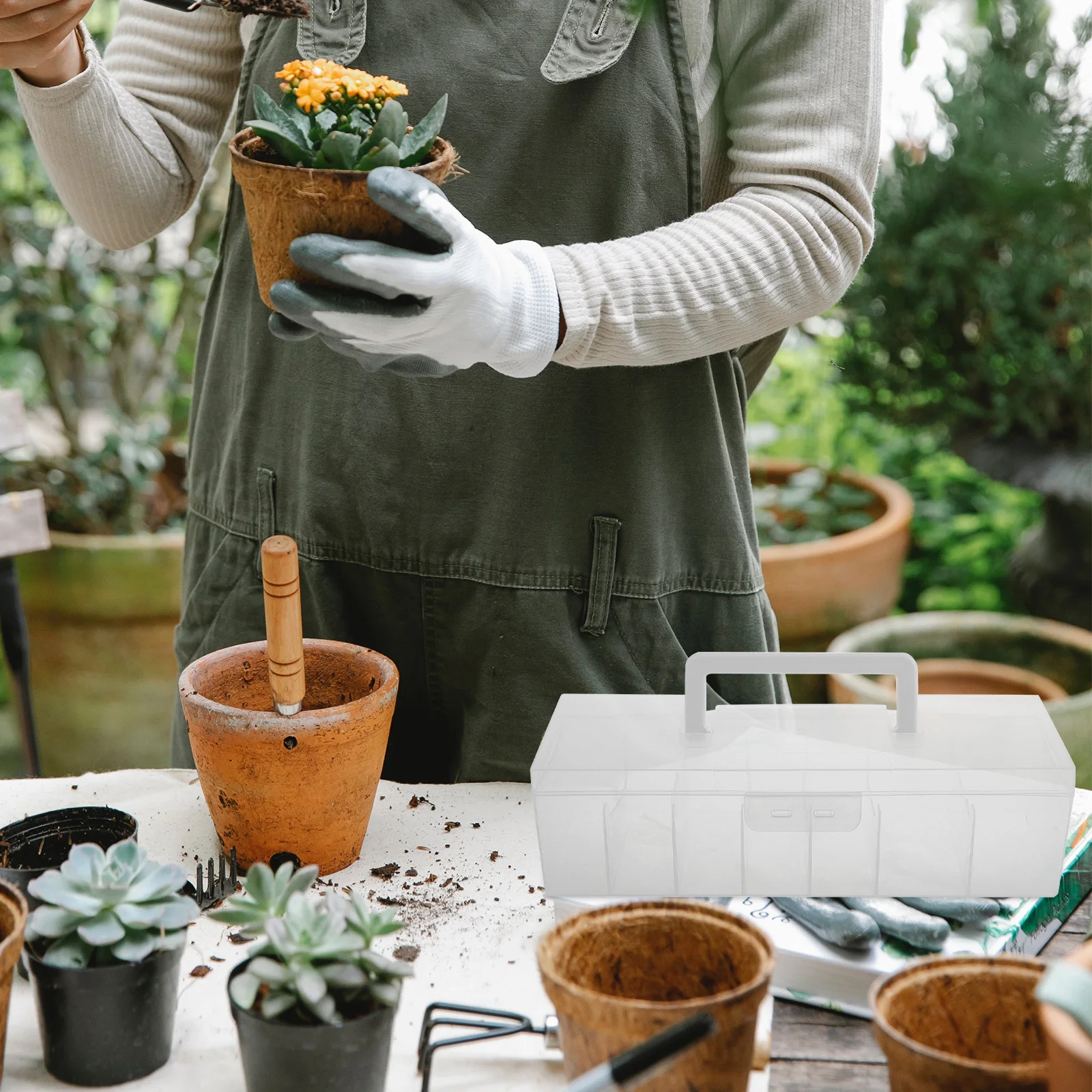

Portable Clear Seed Packet Storage Box Organizer Multicompartment Seed Keeper for Efficient Garden Management