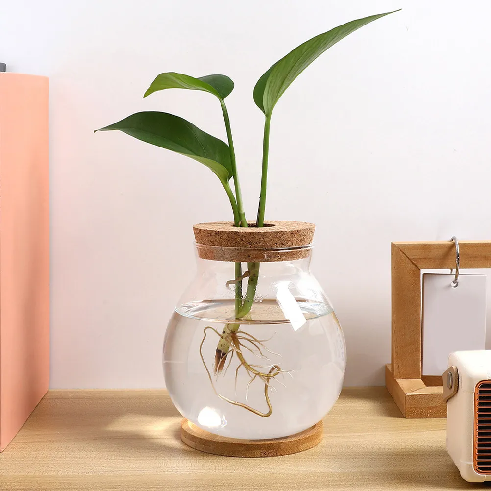 Hydroponic Glass Vase for Indoor Plants Transparent Desktop Propagation Vessel Glass Flower Container with Wooden Base