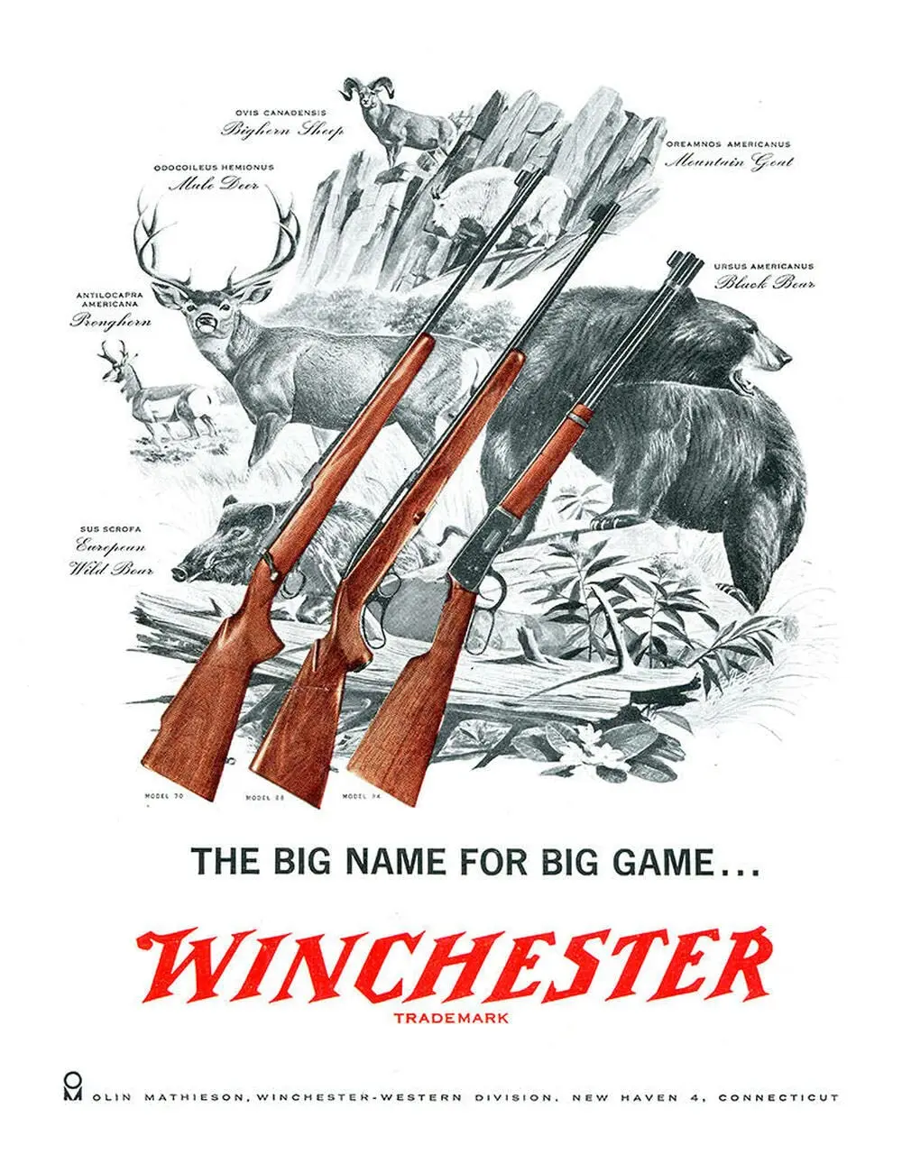 Desperate Enterprises Wter Big Game Tin Sign - Nostalgic Vintage Metal Wall Decor - Made in USA