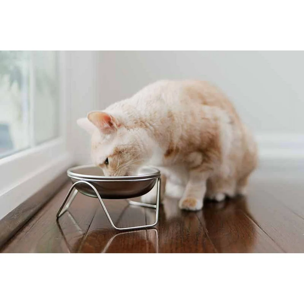 حامل وعاء مرتفع للقطط من الفولاذ المقاوم للصدأ ومقاوم للانسكاب، آمن للاستخدام في غسالة الأطباق، صديق للبيئة من الدرجة البشرية، صنع في الولايات المتحدة الأمريكية #4