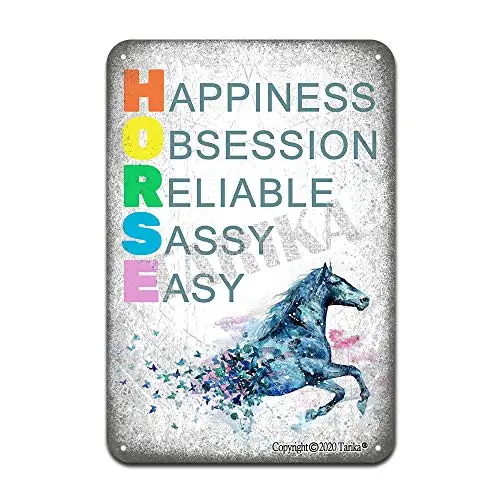 Happiness,Obsession,Reliable,Sassy,Easy Iron Poster Painting Tin Sign Vintage Wall Decor for Cafe Bar Pub Home Beer Decoration C