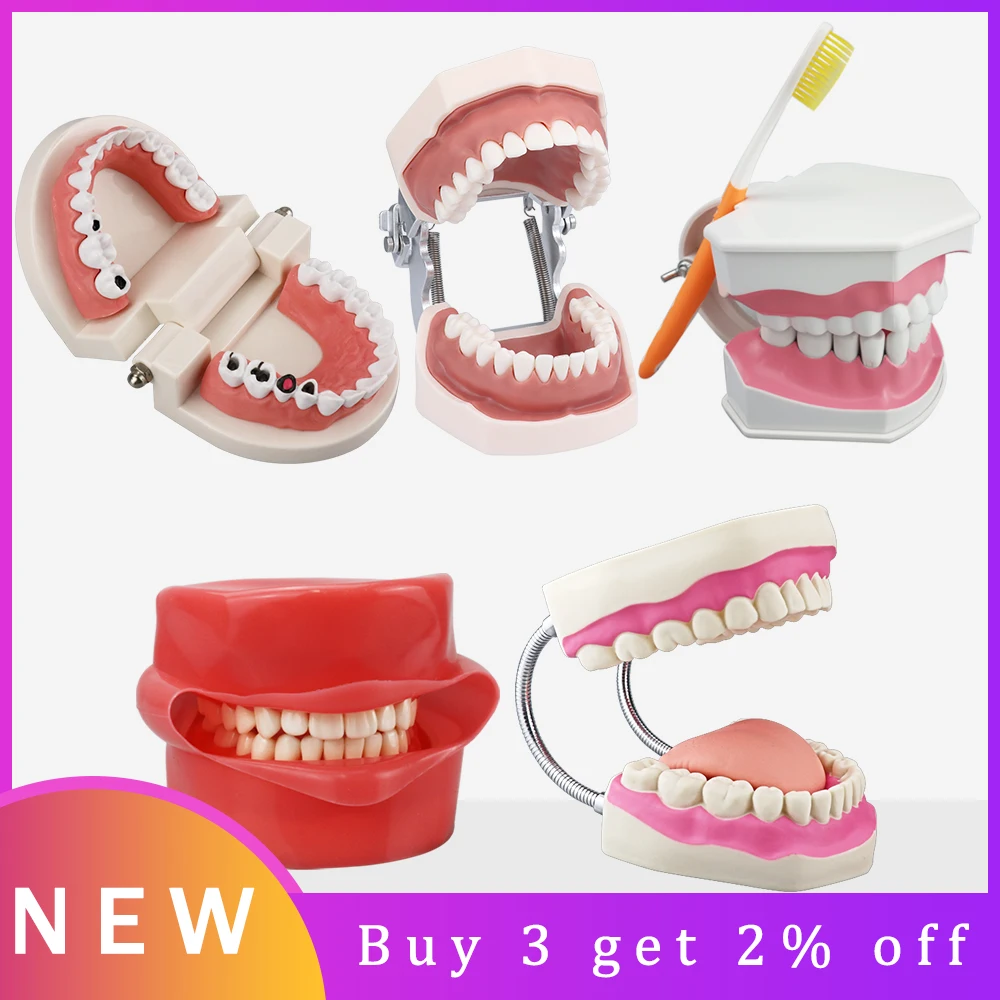 New Various Dental Model Teeth Teaching Model Study Removable Orthodontic Implant Tooth Models Resin Dentistry Dentist Material