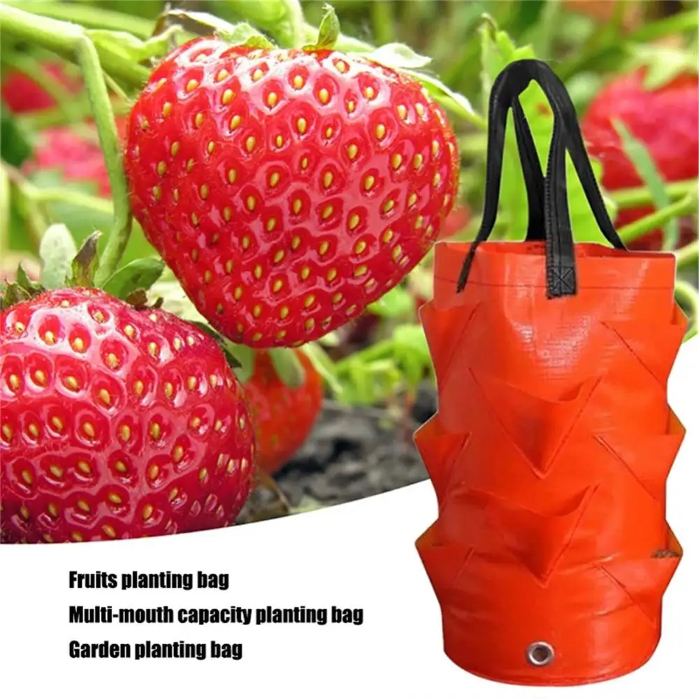 Reusable Planter Pot PE Growing Bags For Vegetable Flower Outdoor Planting Bag Hanging Strawberry Potato Flower Planter Bag