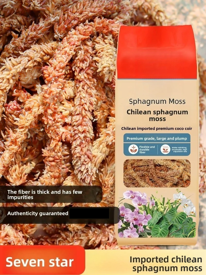 Sphagnum Moss Dry - Chilean Sphagnum Moss 100g 200g Premium