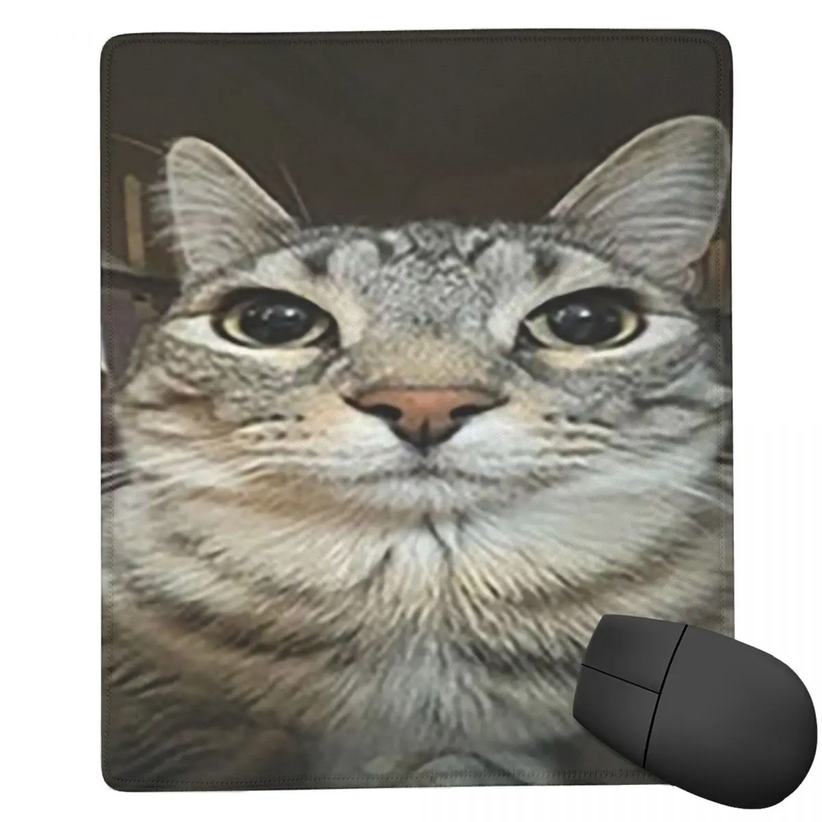 Cat Looking Directly At You 7x9 in 22x18 cm Mouse Pad Computer Keyboard Mouse Mat Gamer PC Laptop Desk MatAccessories Table Mats