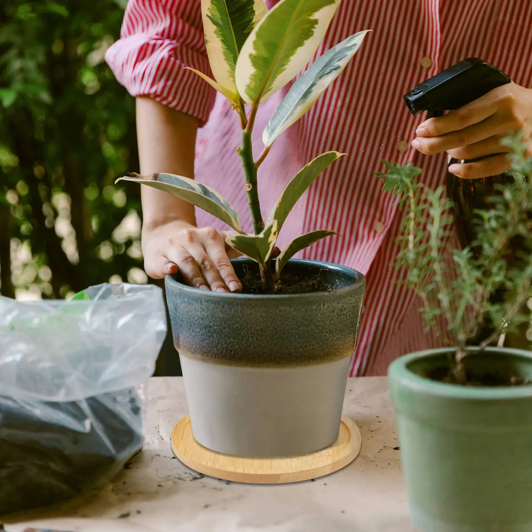 

Well Made-Bamboo Plant Saucer 3.3 Inch Succulent Pot Tray Flower Plant Holder, Round Drainage Tray 12 Pack