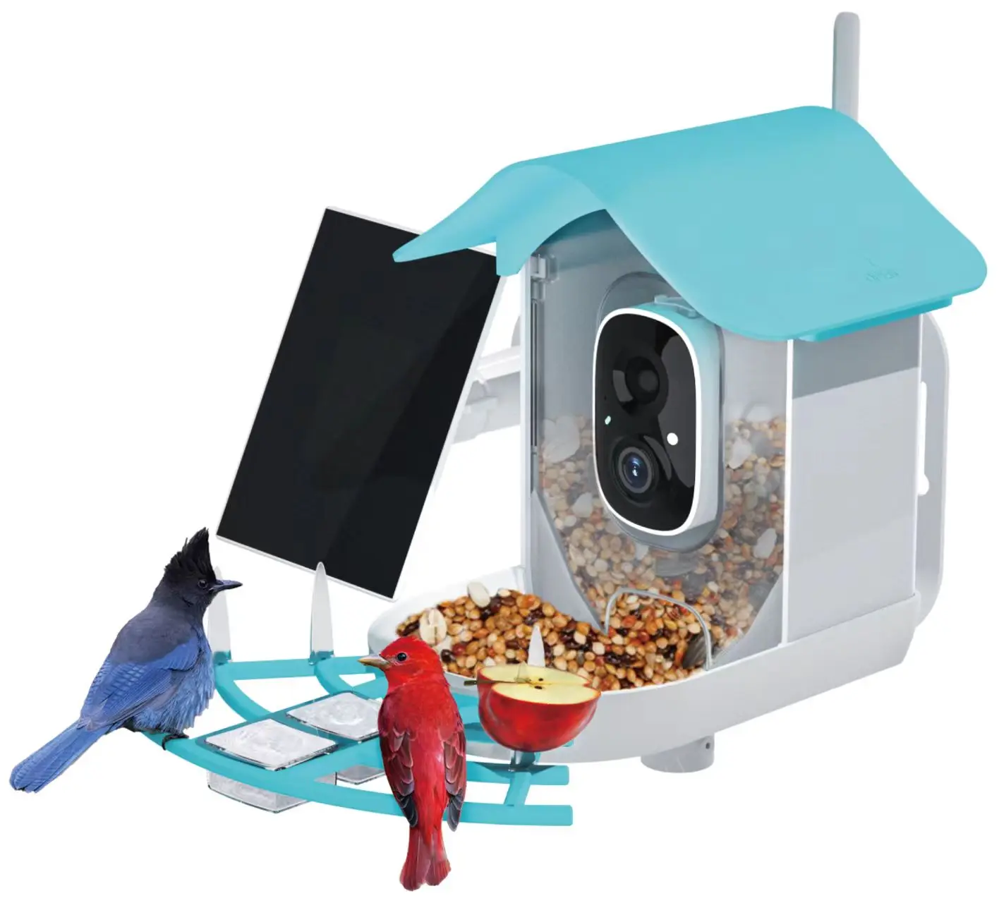 Solar Bird Feeder Camera With WIFI Connectivity, Artificial Intelligence Bird Species Identification And Automatic Video