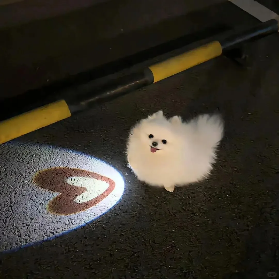 

Handheld 308nm Excimer Phototherapy Device for Psoriasis Vitiligo Treatment Skin Disease UV Phototherapy Personal Care Product