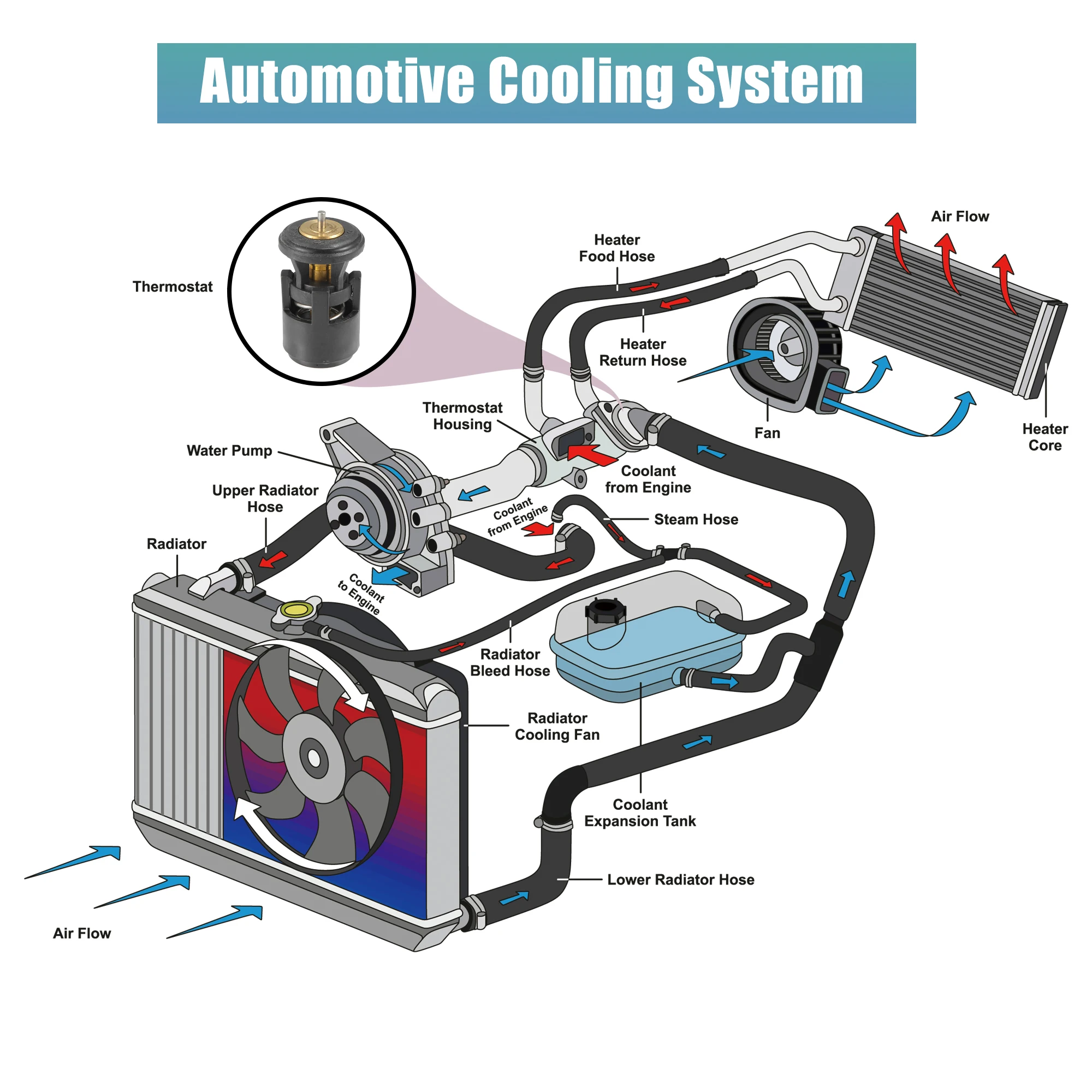مجموعة منظم حرارة سائل تبريد السيارة X Autohaux ، 032121110B لفولكس فاجن ، فينتو ، خنفساء ، لوبو ، بولو ، علبة ، جولف ، بورا ، فوكس ،- #3