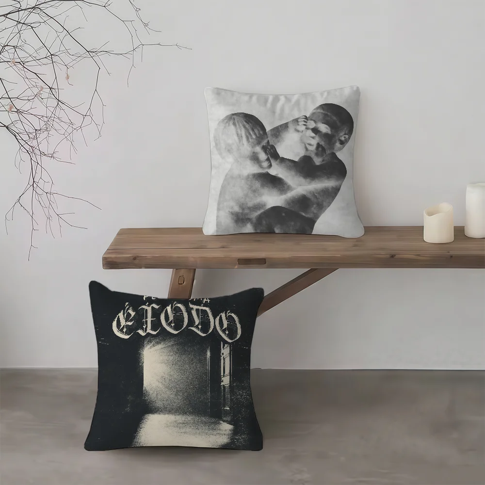 cushion P-Peso cover Fashionable Dinastia Style pillowcase Deluxe Comfortable sofa Bedroom Personalized Pluma Singer Decoration