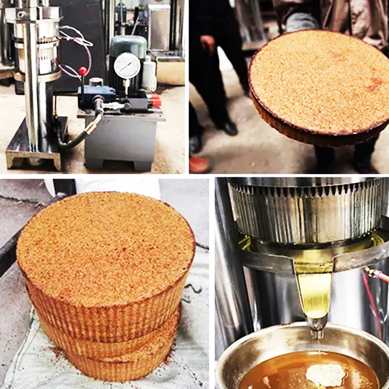

Automatic Industrial Cold Press Coconut Olive Sesame Sacha Inchi Hydraulic Screw Oil Press Machine for Small Business