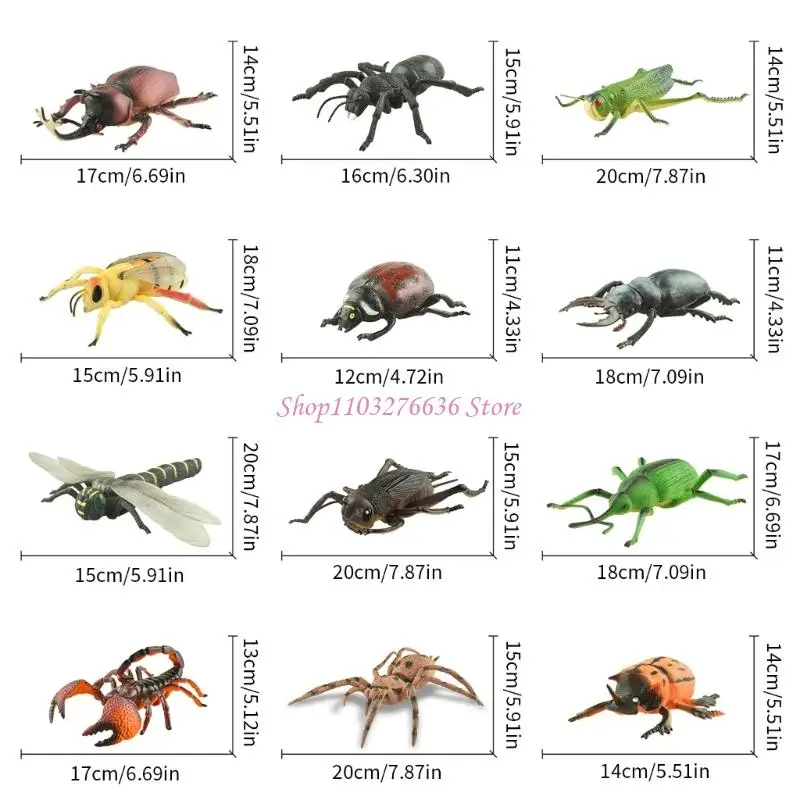 R6FD Realistic Insect Figures For Teaching Animal Anatomy Classroom Demonstration Toy