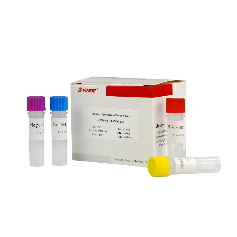 

Accurate Bovine Ephemeral Fever Virus (BEFV) RT-PCR Kit Veterinary Instrument for Diagnosis and Detection