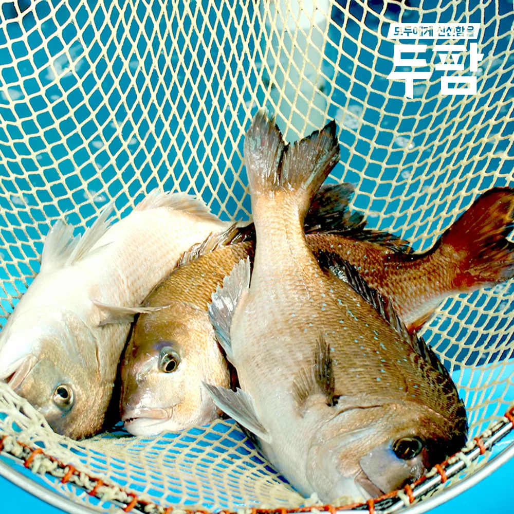 [مزارعين] شرائح فيليه كبيرة منتجئة ومستعدة وكبار السن