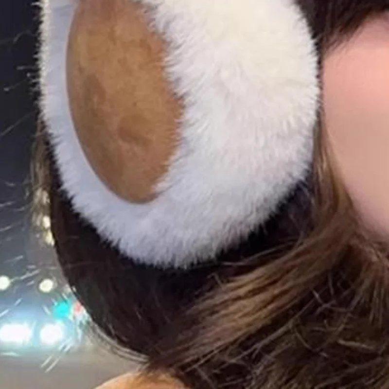 Fashion Plush Ear Foldable Thicken Ear Cover For Women Men Winter Warm Earflap Outdoor Cold Protection Earmuffs