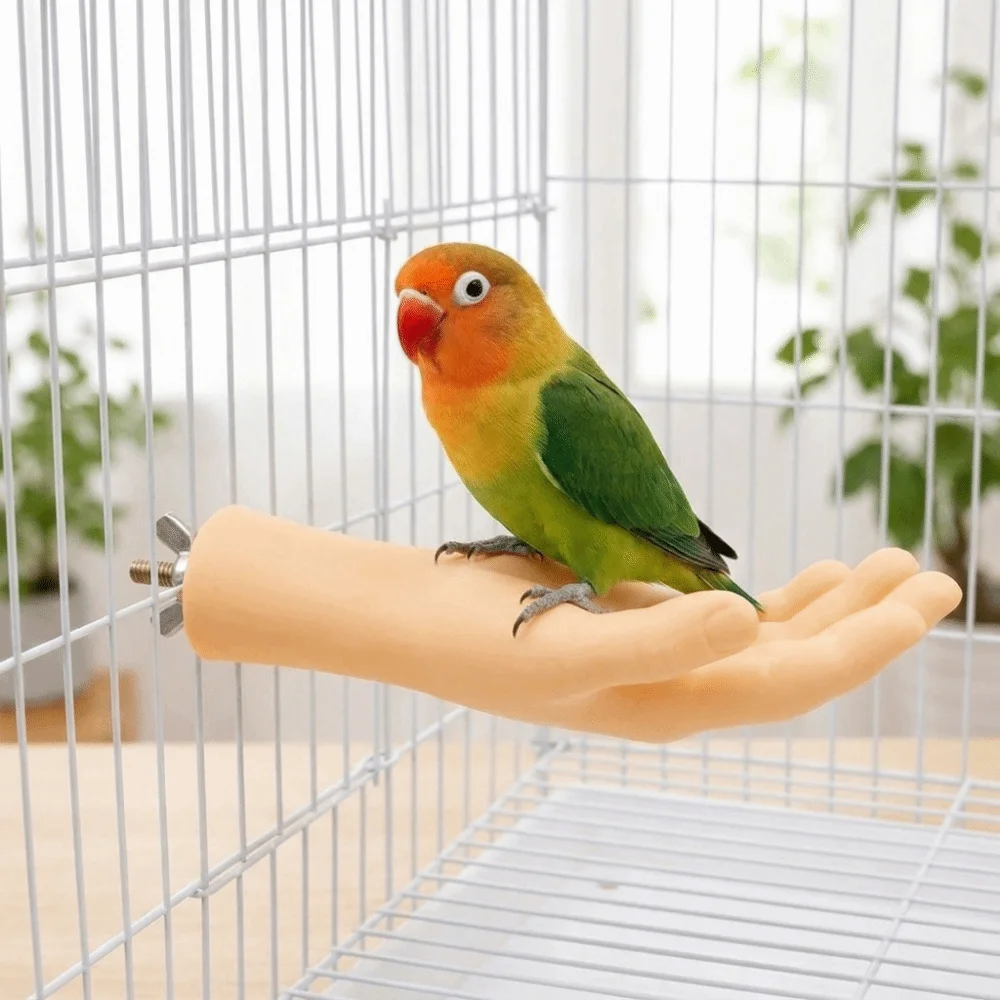 Thumbnail 2 - #35 Bird Perch Stands Comparison Guide