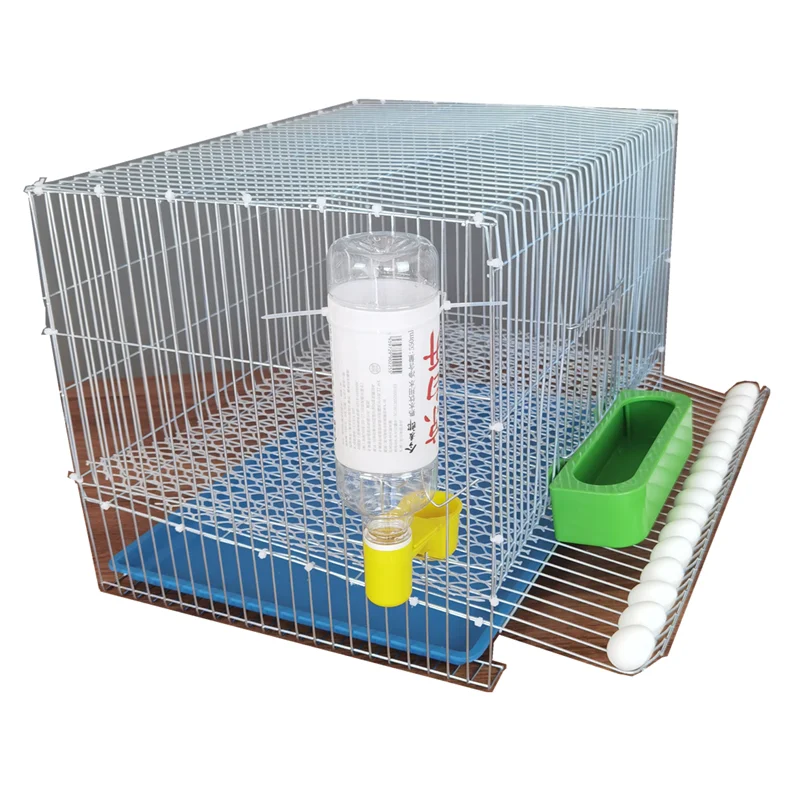 Jaula de gallinas ponedoras y codornices para uso doméstico, con alambre de púas galvanizado y sistema automático de recolección de huevos.
