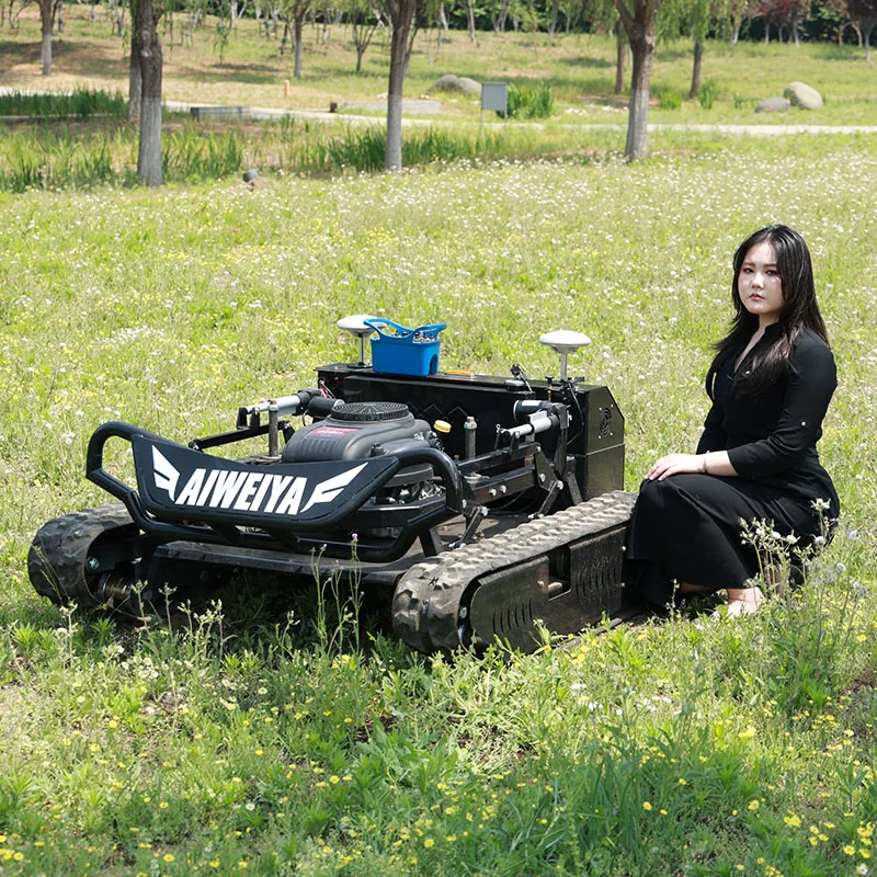 

Customized Multifunctional Crawler Grass Mower Full Automatic 4 Stroke CE Approved Farm Pasture Equipment