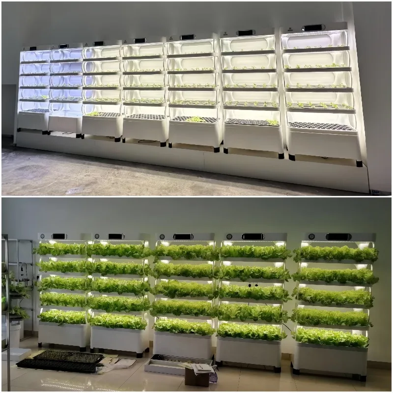 مجموعة إنبات ذكية لنظام الزراعة المائية للحديقة العمودية الجديدة