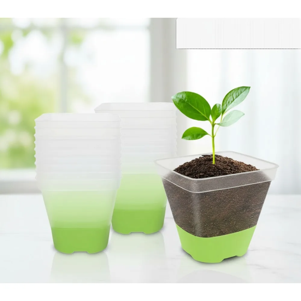 

40 Pack 3 Inch Clear Square Plant Pots with Drainage Holes & Labels - Ideal for Gardeners & Plant Lovers