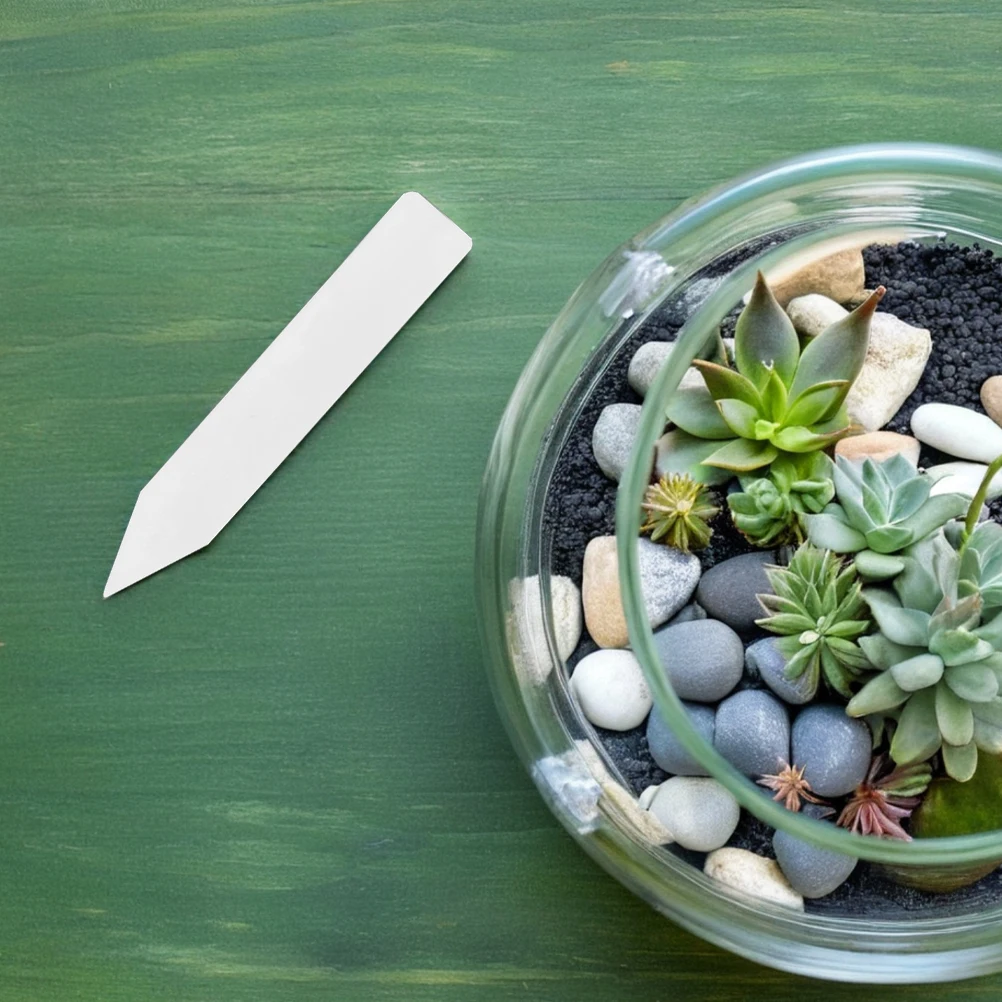 

100 Pcs Plant Markers Durable Plastic Garden Labels for Succulents Fade Resistant Writable Surface Easy Insertion