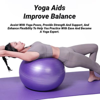 45/55/65/75cm Pvc Material Pilates Yoga Balls Thickened Explosion-proof Household Fitness Balls Children's Balance Balls