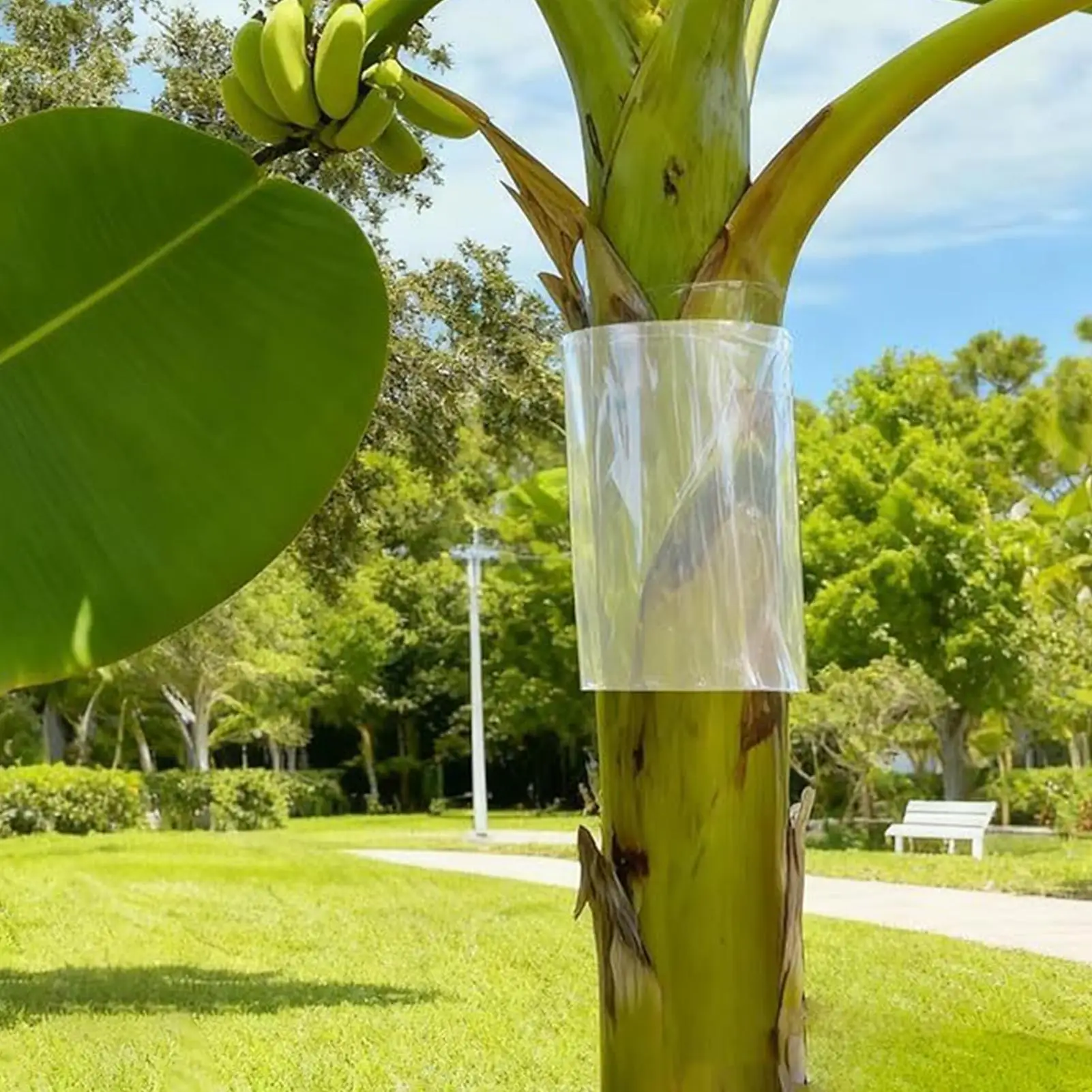 Tree Guard With Tape Waterproof Thickened Cover Iguana Tree Wrap For Reptile Prevention For Garden Patio Pathway Backyard