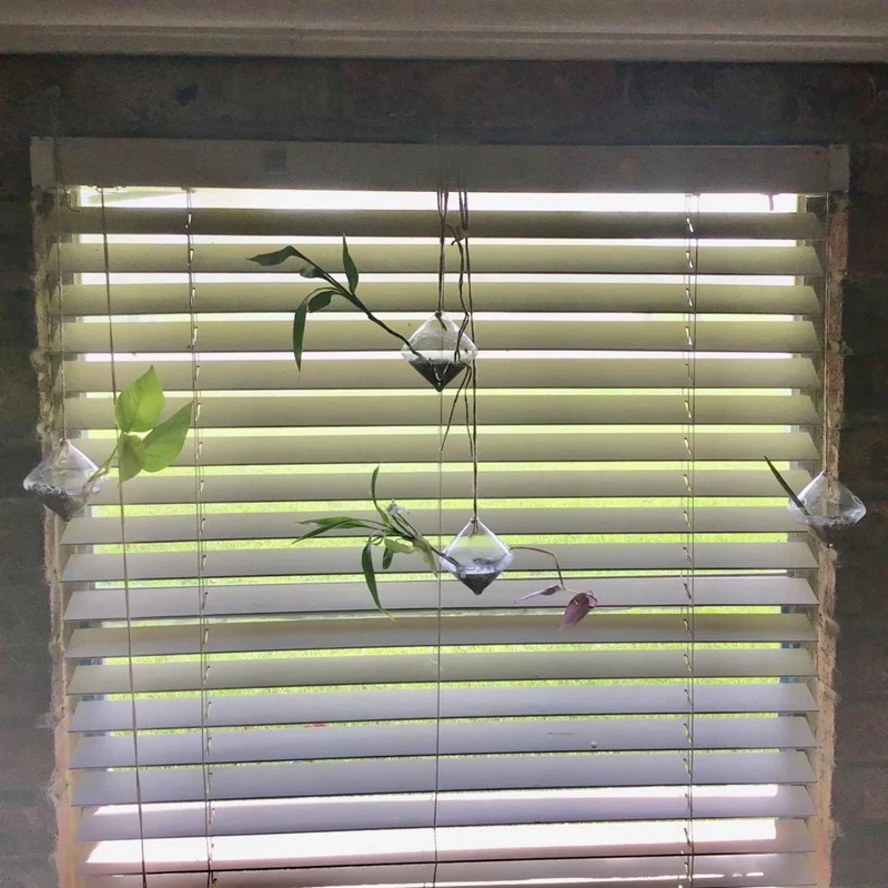 집 정원 발코니용 유리 행잉 파종기, 물 공기 식물 용기, 테라리움 캔들 거치대, 줄 로프 포함, 4 개