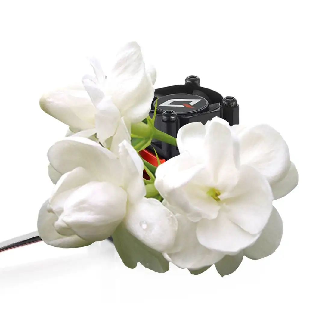 HOBBYWING QuicRun 3650SD G2 Induction Brushless Motor and QUICRUN 10BL120-SENSORED G2 for 1/10 RC Car