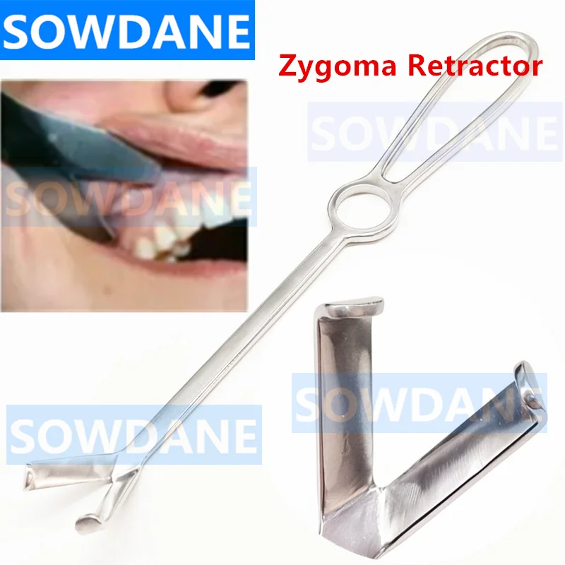 

1 piece Dental Zygoma Retractor Stainless Steel Lip Cheek Retractor for Lateral Teeth in The Upper Jaw Surgical Retractor