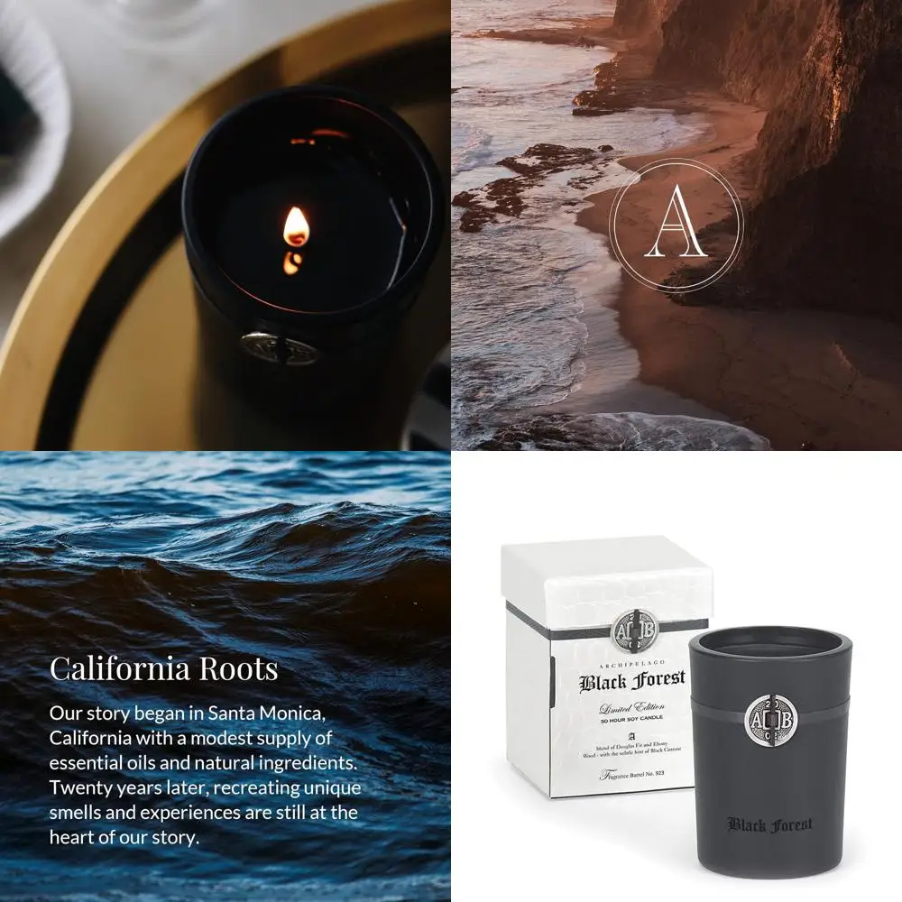 

Black Forest Boxed Candle, Dark Ebony Wood, Douglas Fir and Black Currant Scent, Clean Soy Wax Blend, Lead-Free Wick, 55 Hour Bu